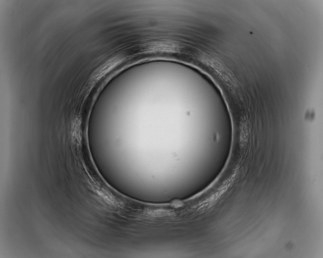 X0000100941113200807011238