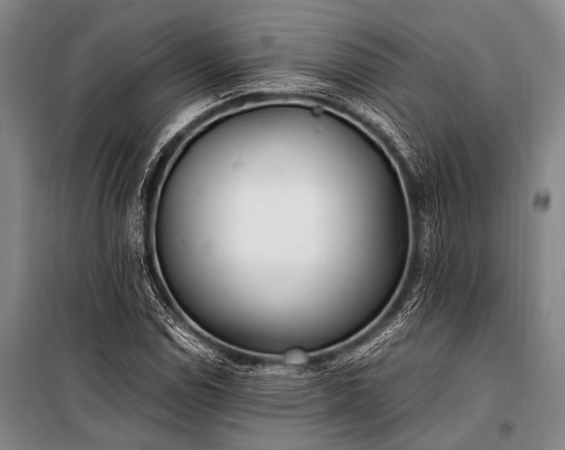 X0000100941114200807011238