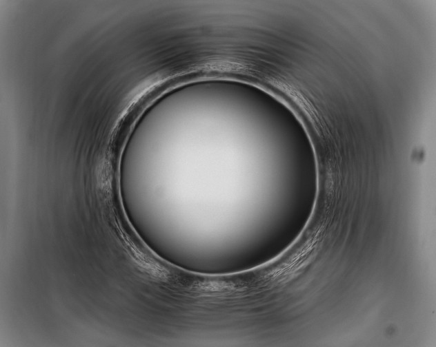 X0000100941115200807011238