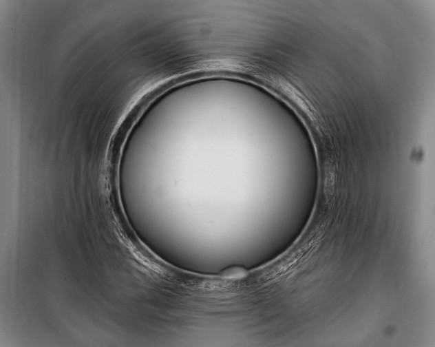 X0000100941116200807011238