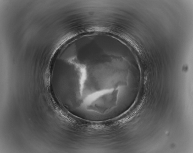 X0000100941117200807011238