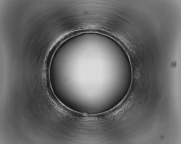 X0000100941118200807011238