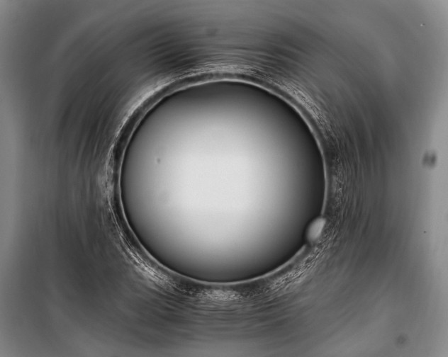 X0000100941119200807011238