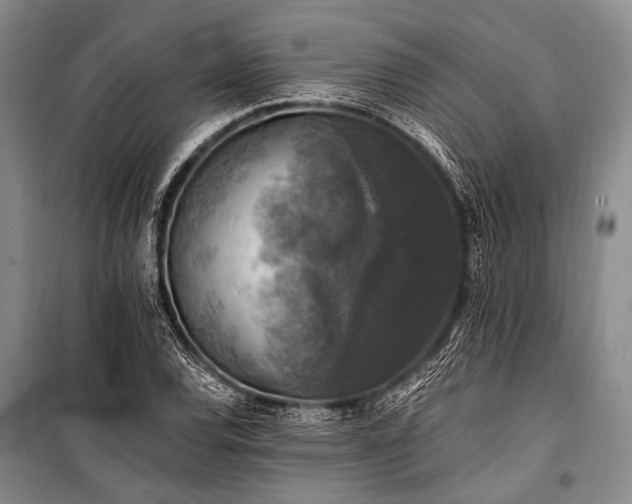 X0000100941120200807011238