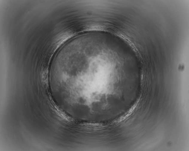 X0000100941121200807011238