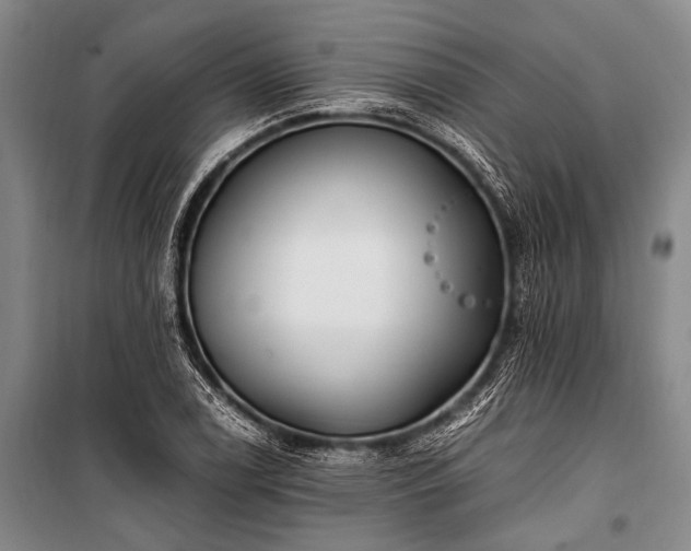 X0000100941122200807011238