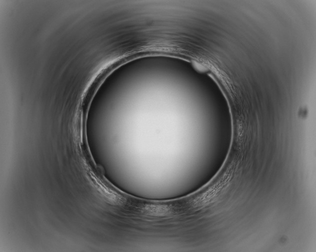 X0000100941123200807011238