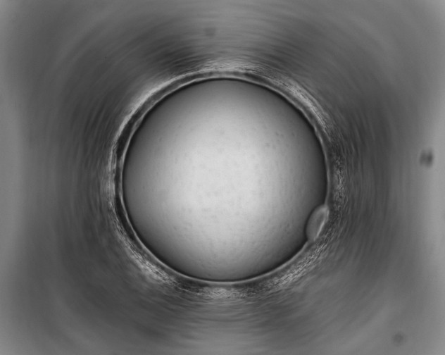 X0000100941124200807011238