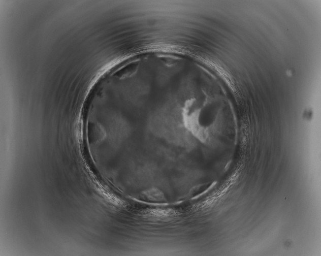 X0000100941125200807011238