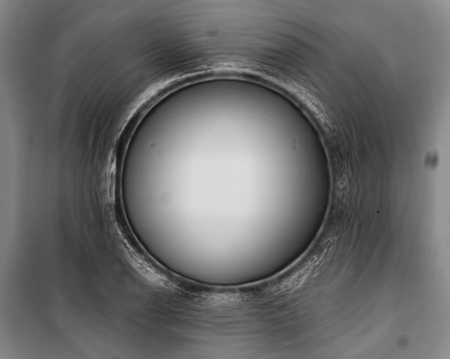 X0000100941126200807011238