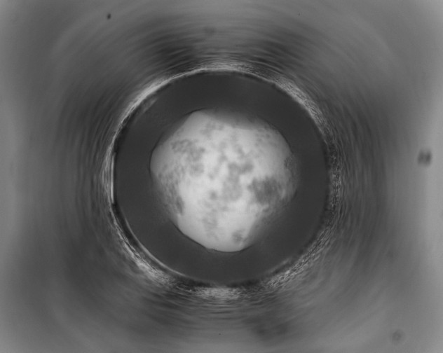 X0000100941127200807011238