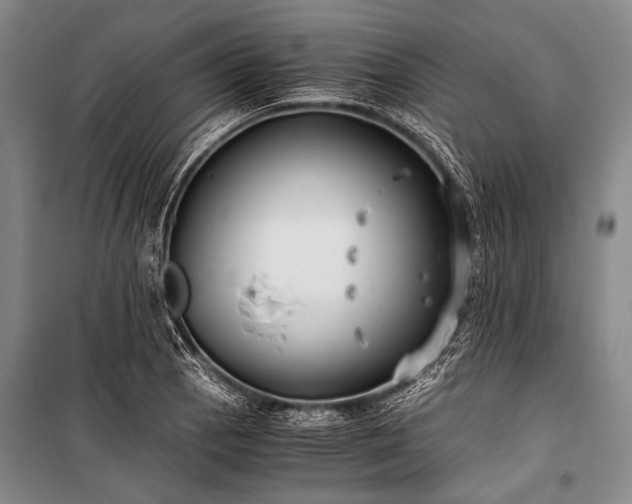 X0000100941129200807011238