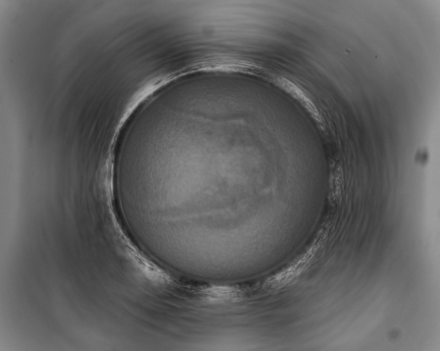 X0000100941130200807011238