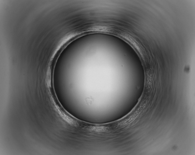 X0000100941131200807011238