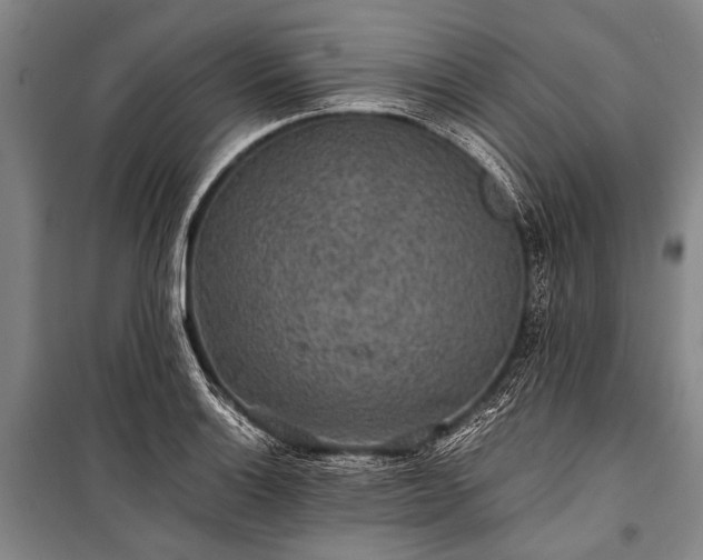 X0000100941132200807011239