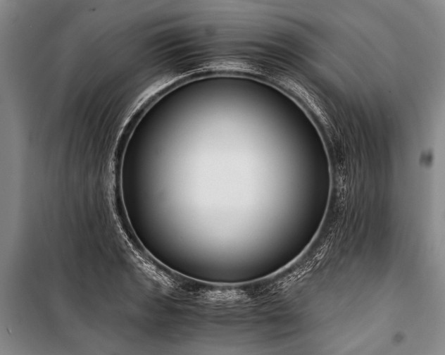 X0000100941133200807011239