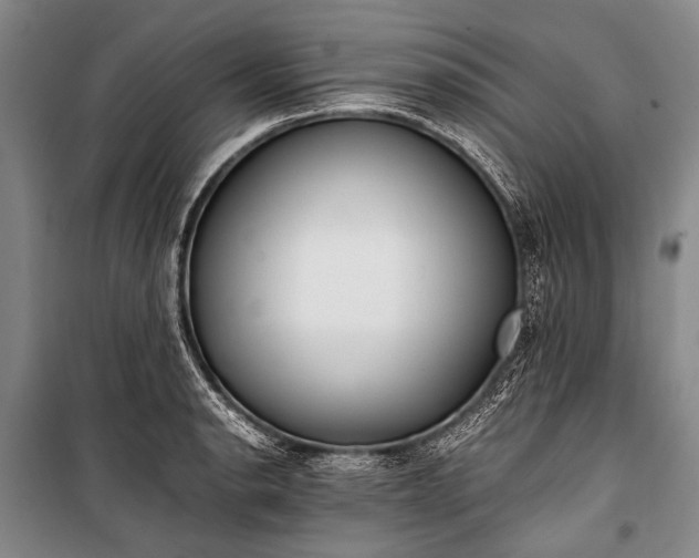 X0000100941134200807011239