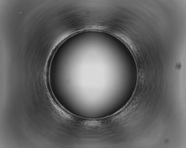 X0000100941135200807011239