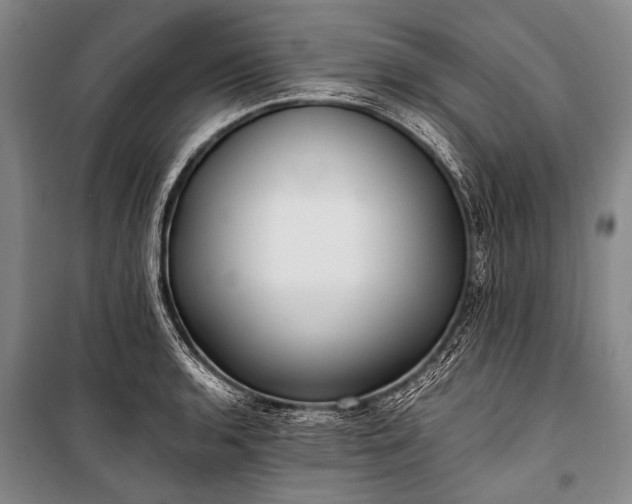 X0000100941136200807011239