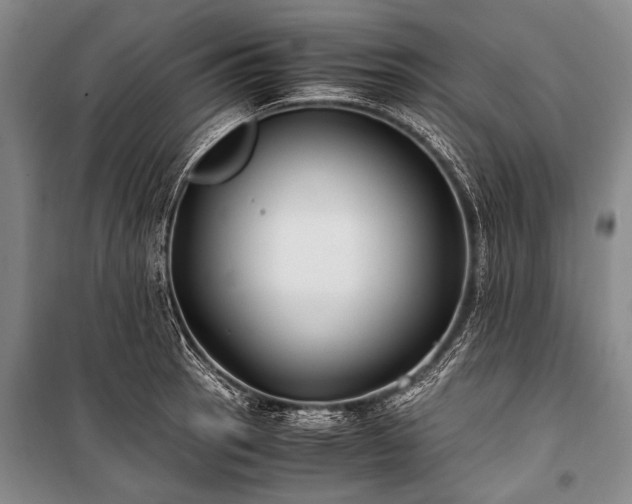 X0000100941137200807011239