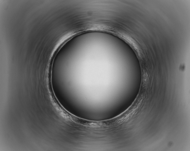 X0000100941138200807011239