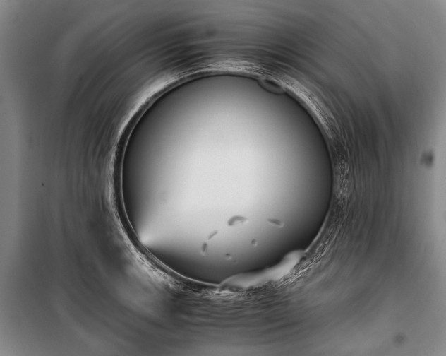 X0000100941139200807011239