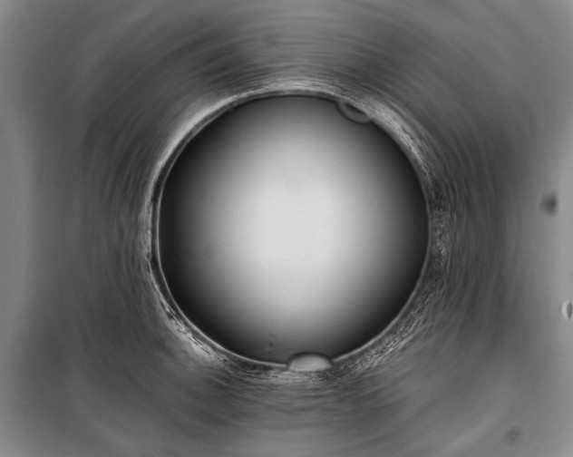 X0000100941140200807011239