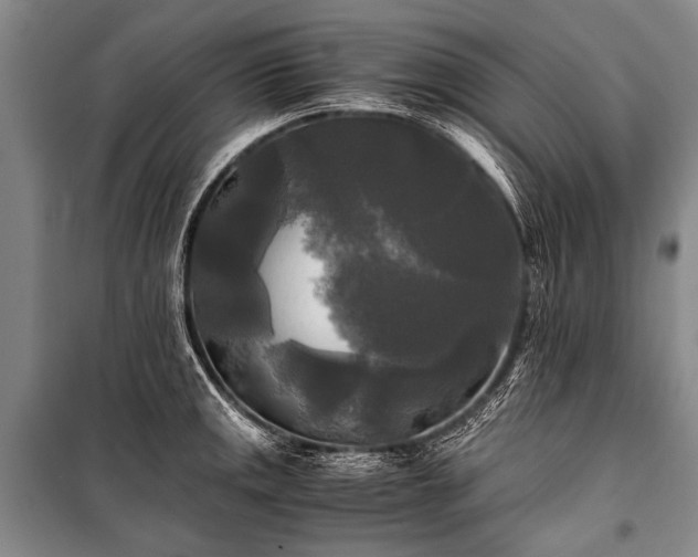 X0000100941141200807011239