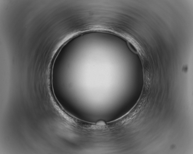 X0000100941142200807011239