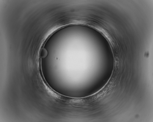 X0000100941143200807011239