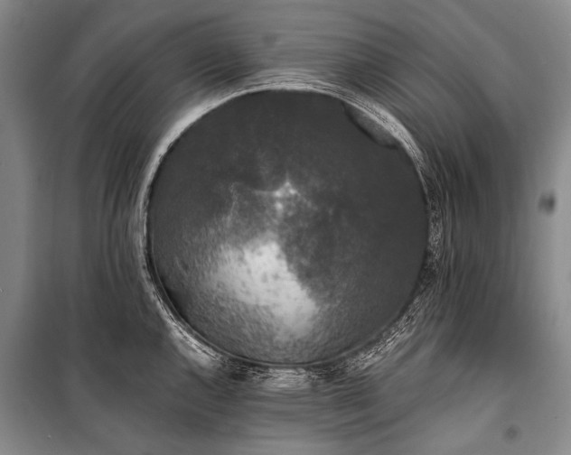 X0000100941144200807011239