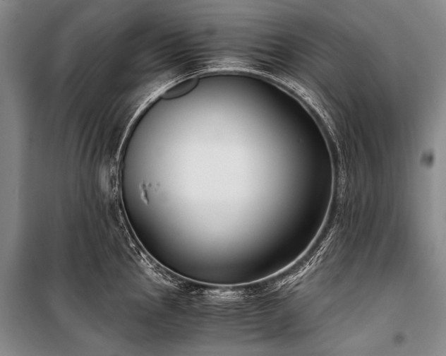 X0000100941145200807011239