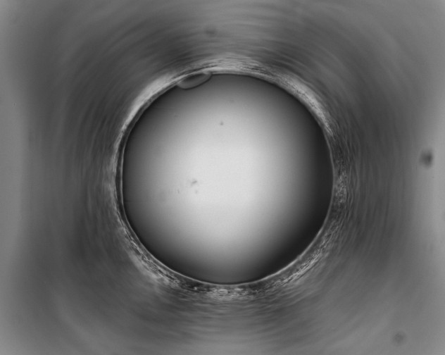 X0000100941146200807011239