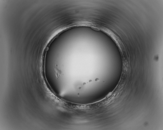 X0000100941147200807011239