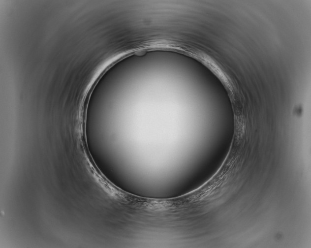 X0000100941148200807011239