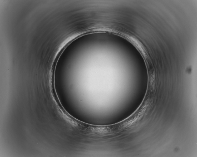 X0000100941149200807011239