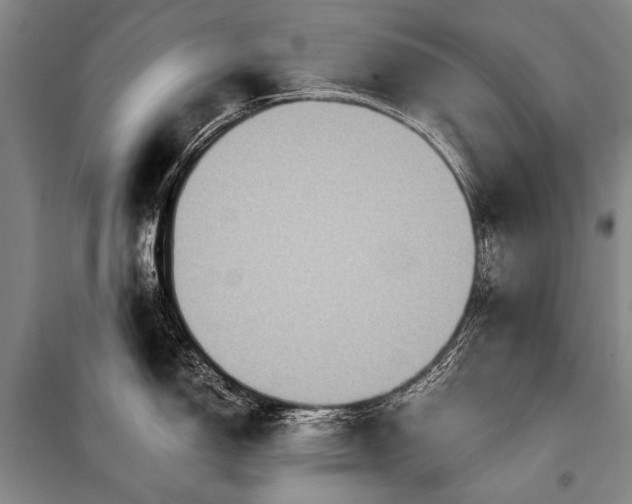 X0000100941150200807011239