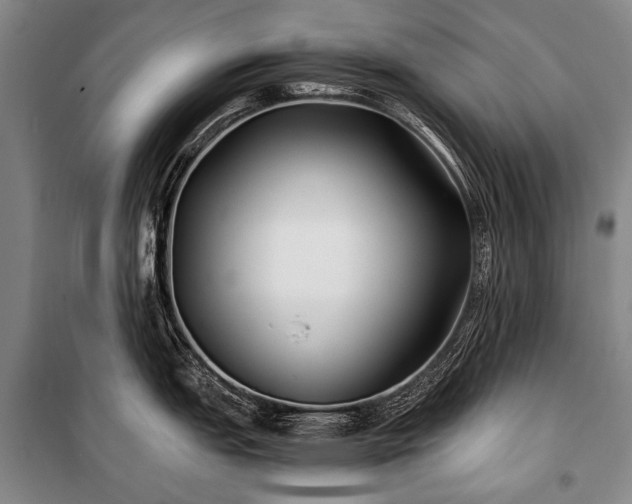 X0000100941151200807011239