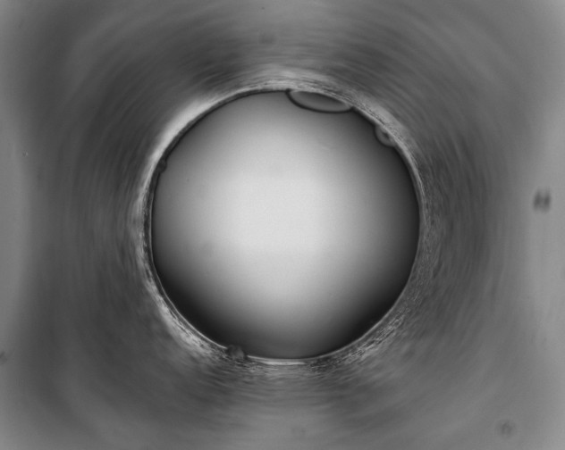 X0000100941152200807011239