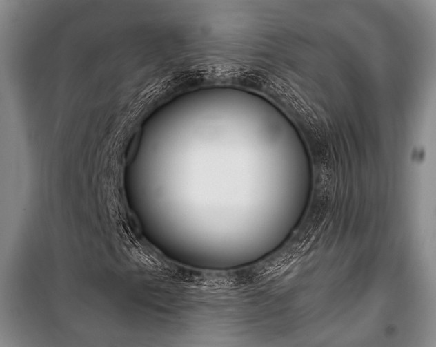 X0000100941153200807011238