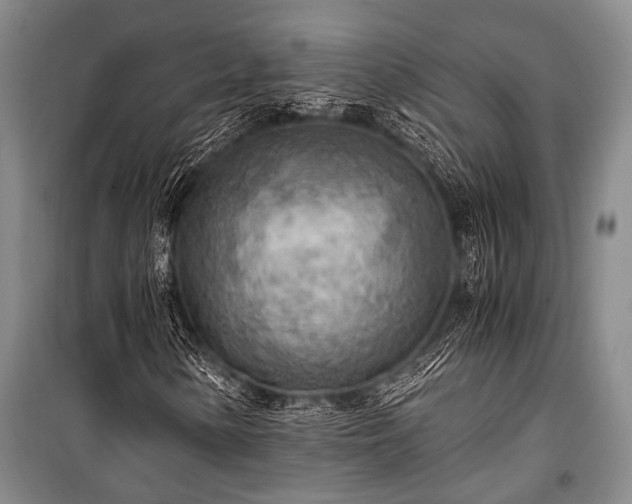 X0000100941154200807011238