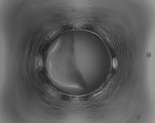 X0000100941155200807011238