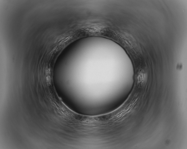 X0000100941156200807011238