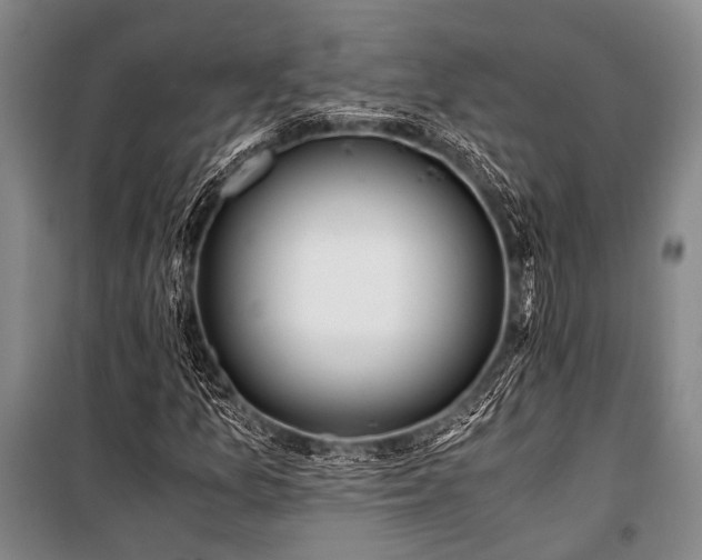 X0000100941157200807011238