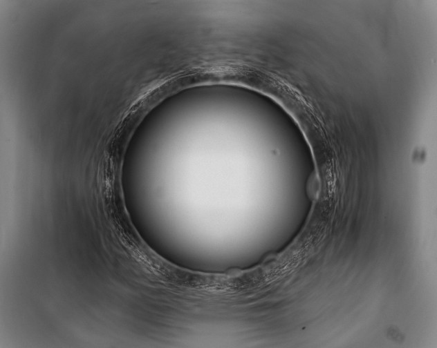 X0000100941158200807011238