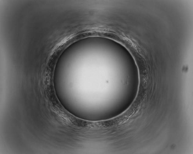 X0000100941159200807011238