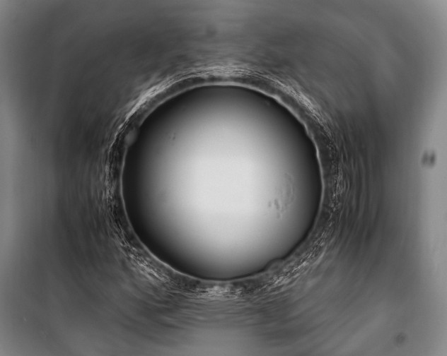 X0000100941160200807011238