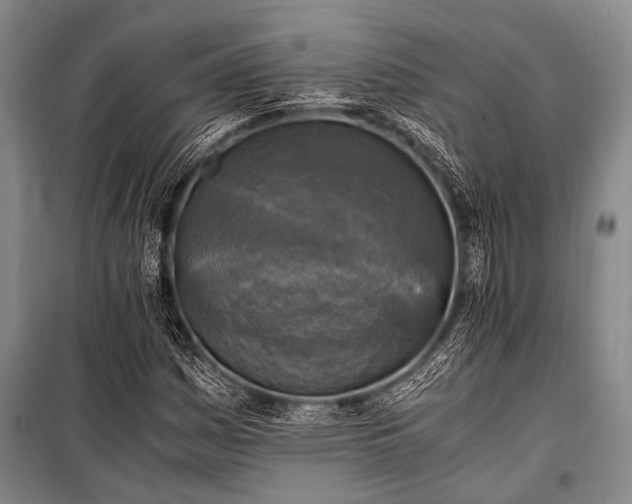 X0000100941161200807011238