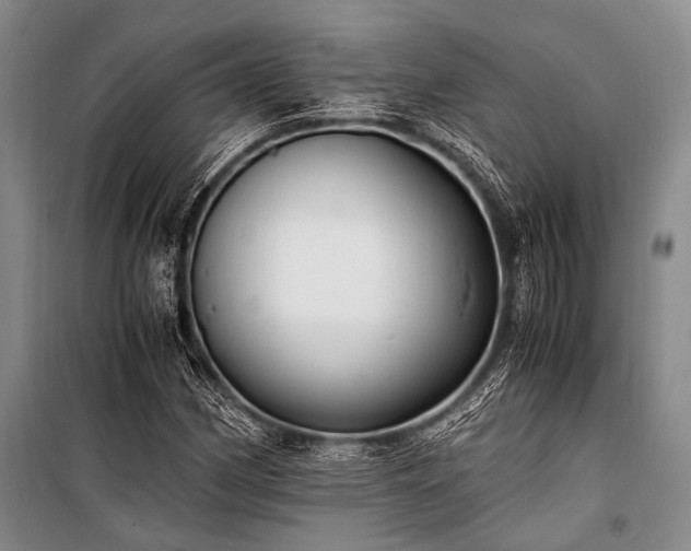 X0000100941162200807011238