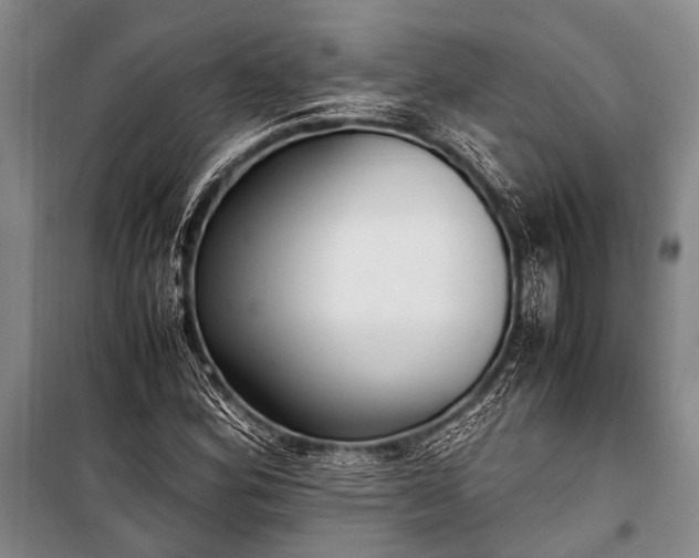 X0000100941164200807011238